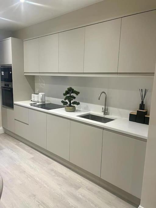 Apartamento New Flat In Holland Park Londres Exterior foto